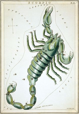 File:Sidney Hall - Urania's Mirror - Scorpio.jpg