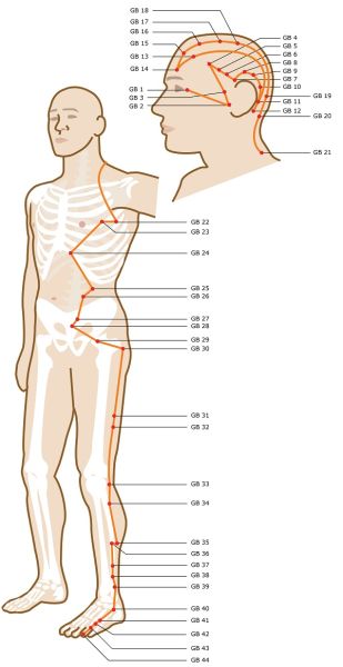 File:Acupuncture-meridian-gallbladder.jpg