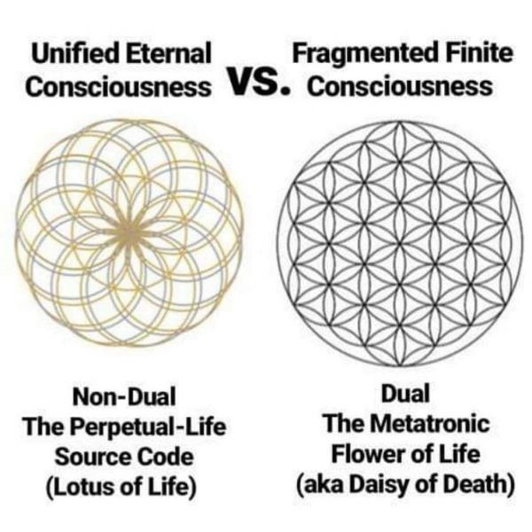 File:5-Metatronic Flower of Daeth.jpg