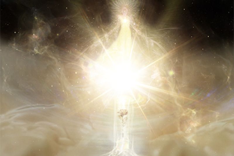 File:Morgana 2024-06-17.jpg