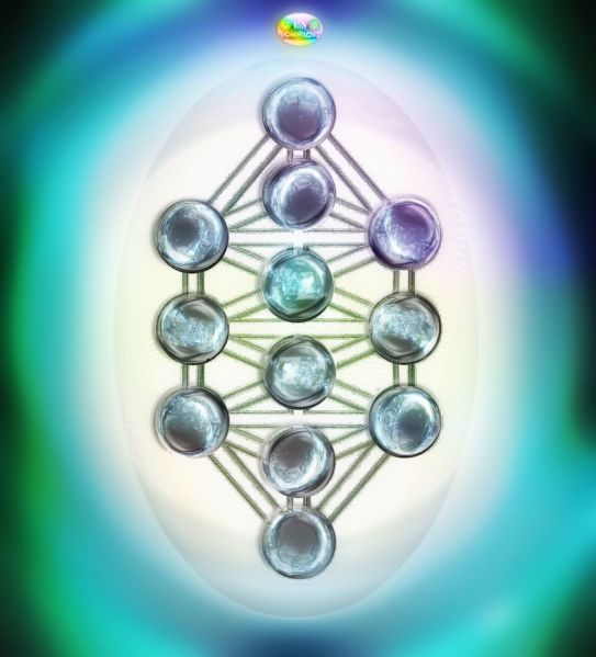 File:Kethplasmas 2026-02-04.jpg