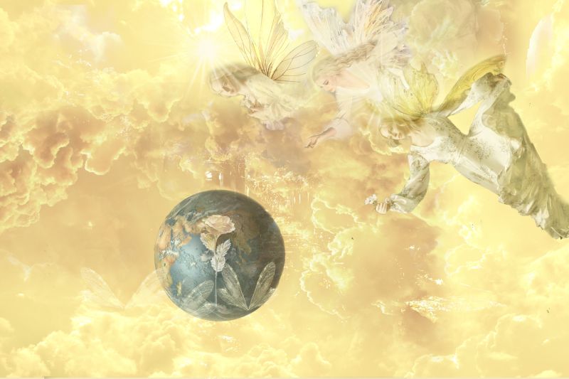 File:Buttermilk Fey.jpg