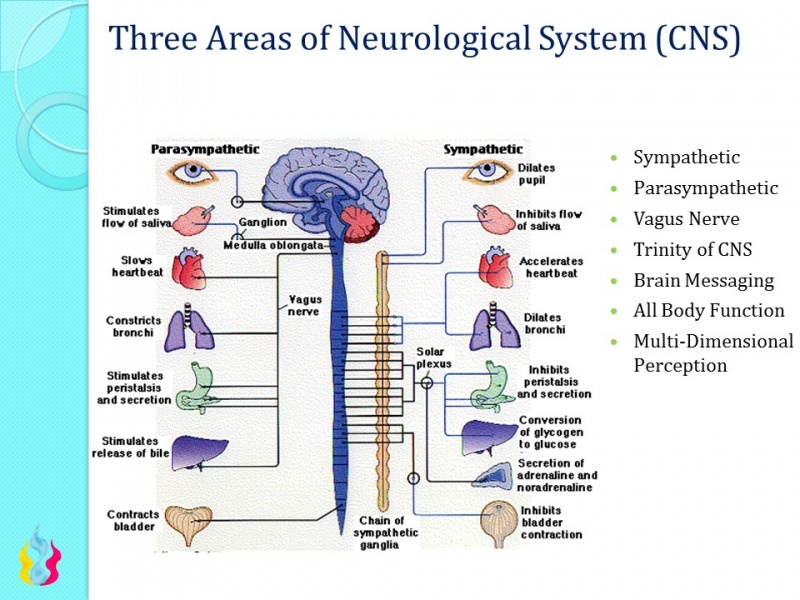 File:CNS144.jpg