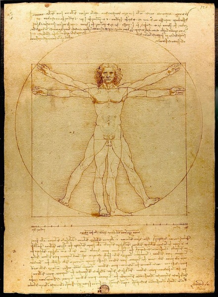 File:600px-Da Vinci Vitruve Luc Viatour.jpg